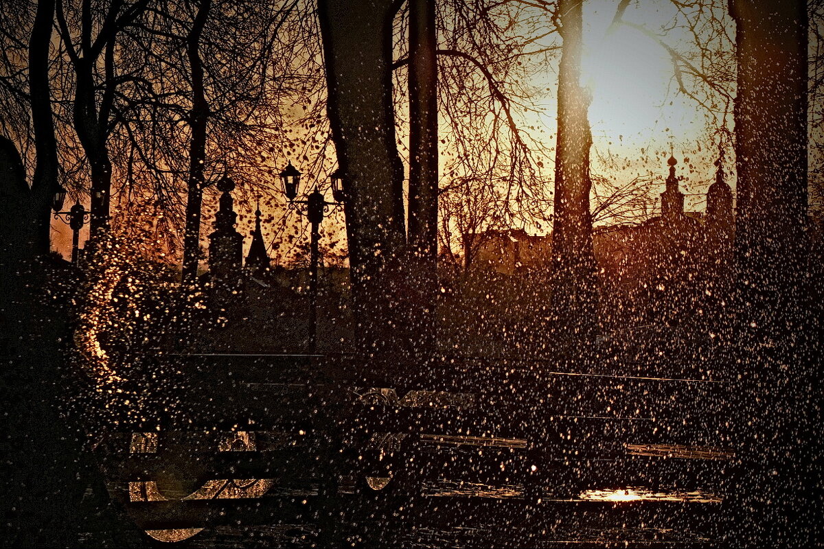 В парке Пушкина... - Владимир Шошин В парке Пушкина... - Владимир Шошин