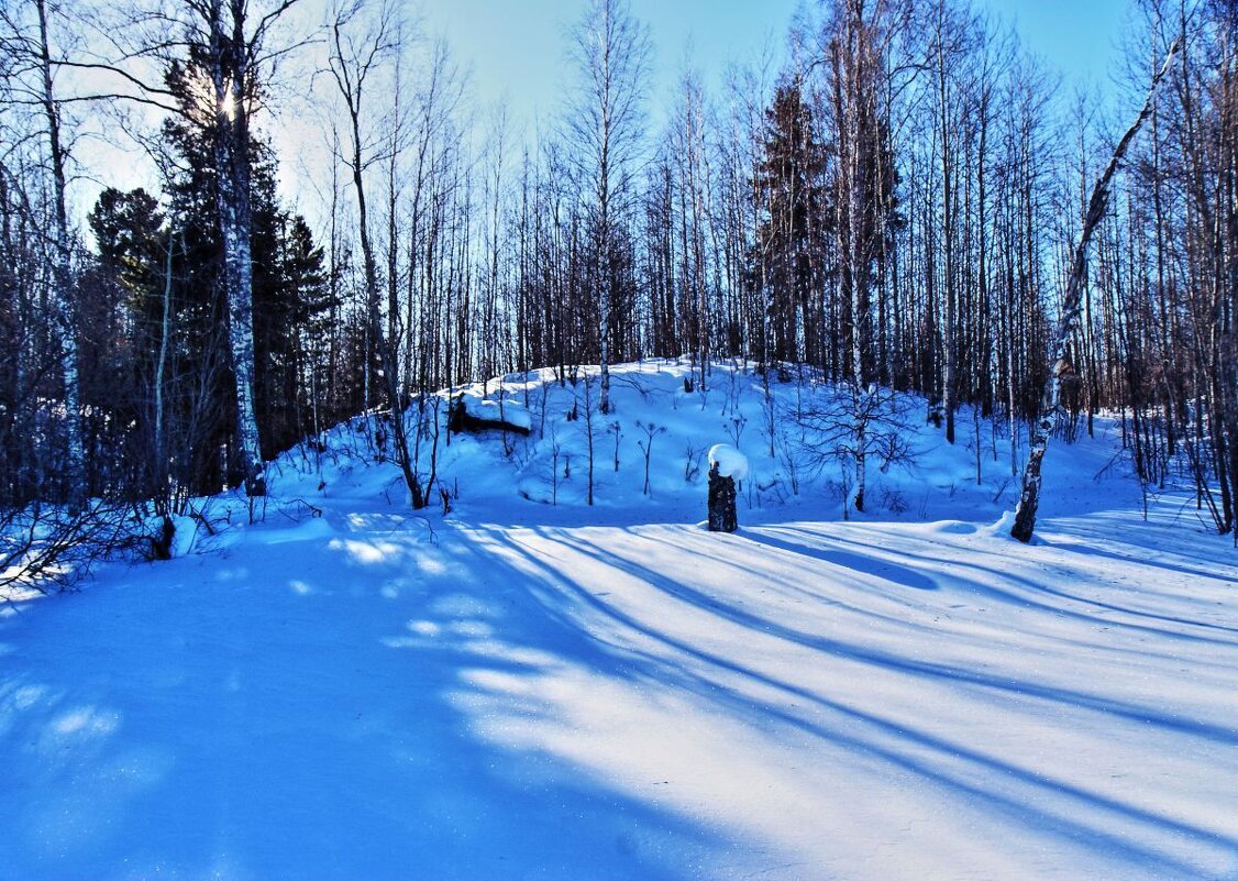 Февраль...Весна света в пойме протоки Чеускиной. - Владимир 