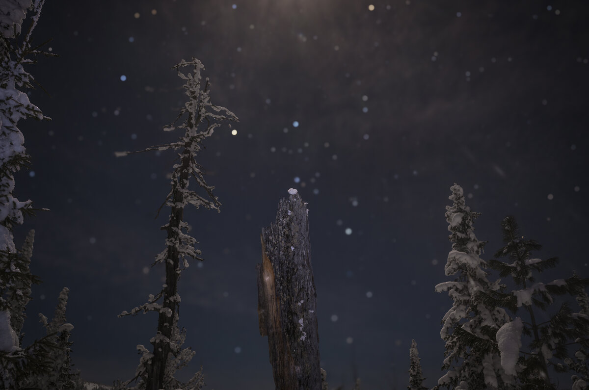 * - Александр Иванов