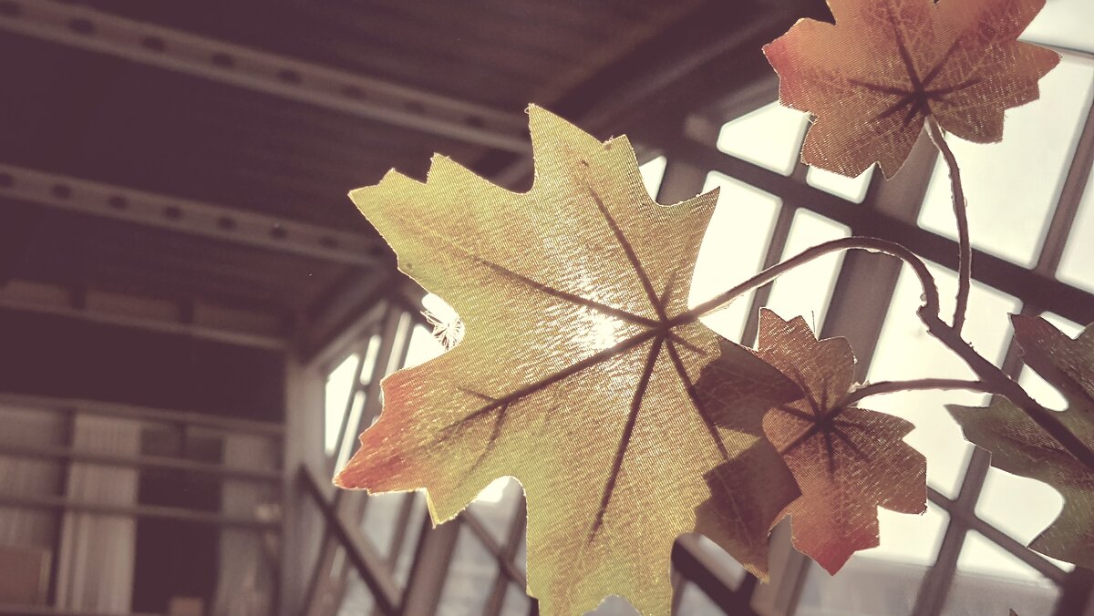 12  КЛОС (537) - CLOSE WAYS ALL