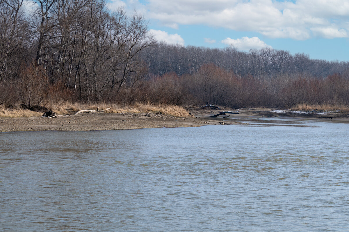 Река Кубань - Игорь Сикорский