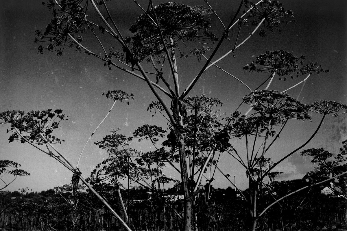 Название отсутствует - Денис Безногов