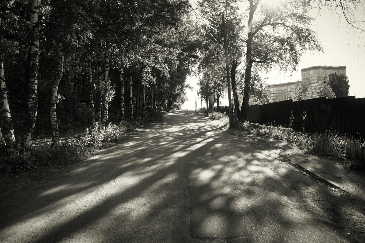 Название отсутствует - Денис Безногов Название отсутствует - Денис Безногов