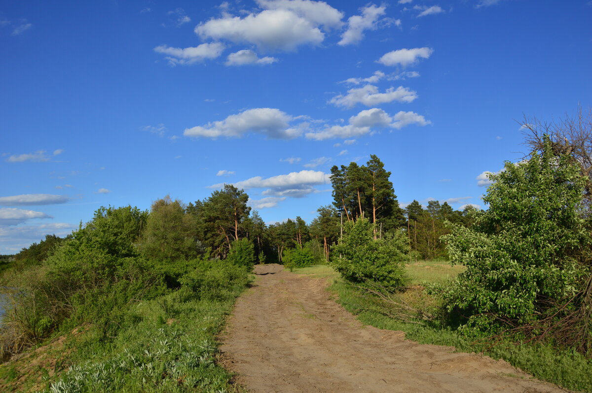 Мои дороги. - Виктор Мои дороги. - Виктор