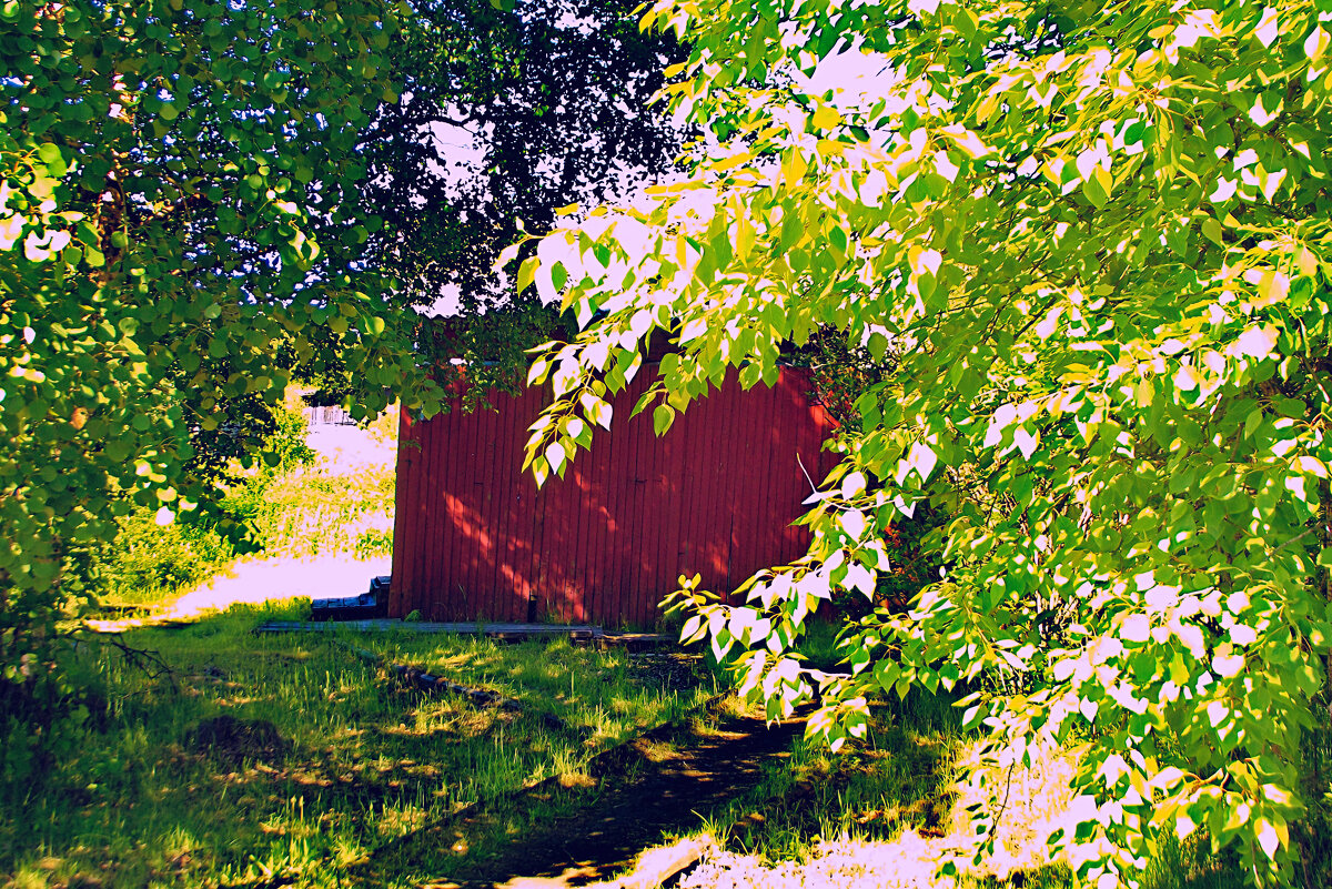 Дом заседаний - Сергей Кочнев