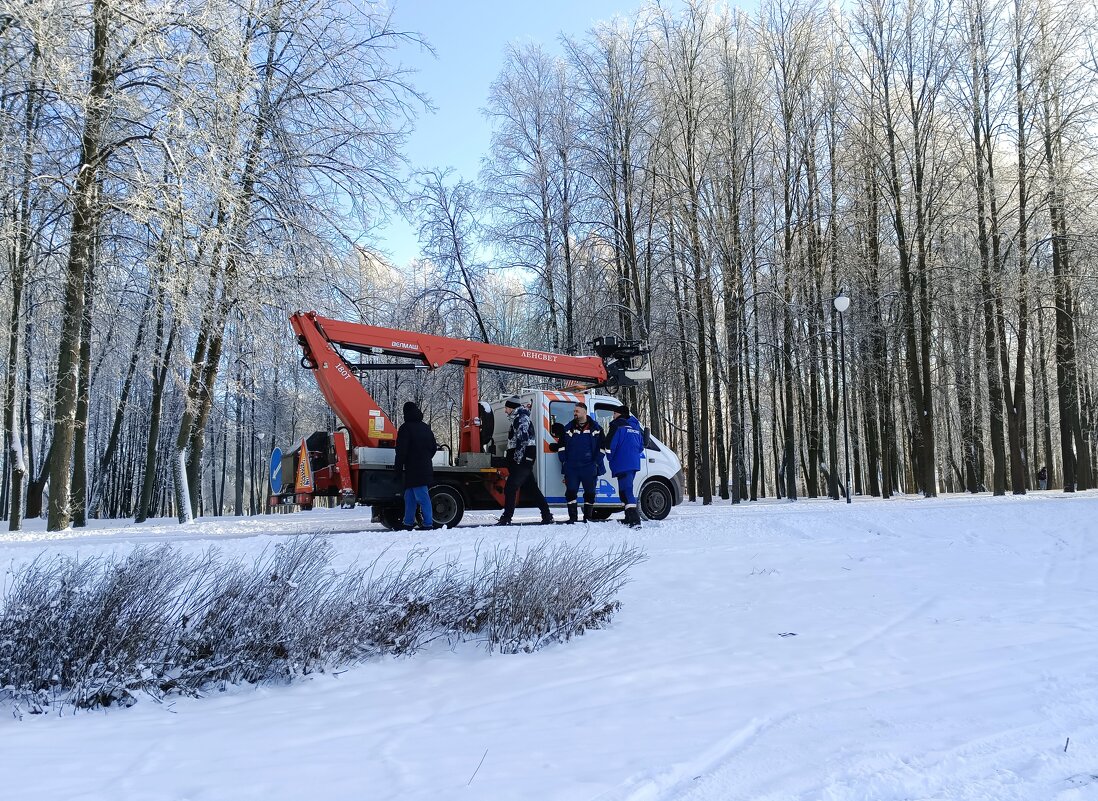 Рабочие моменты в парке - Мария Васильева Рабочие моменты в парке - Мария Васильева