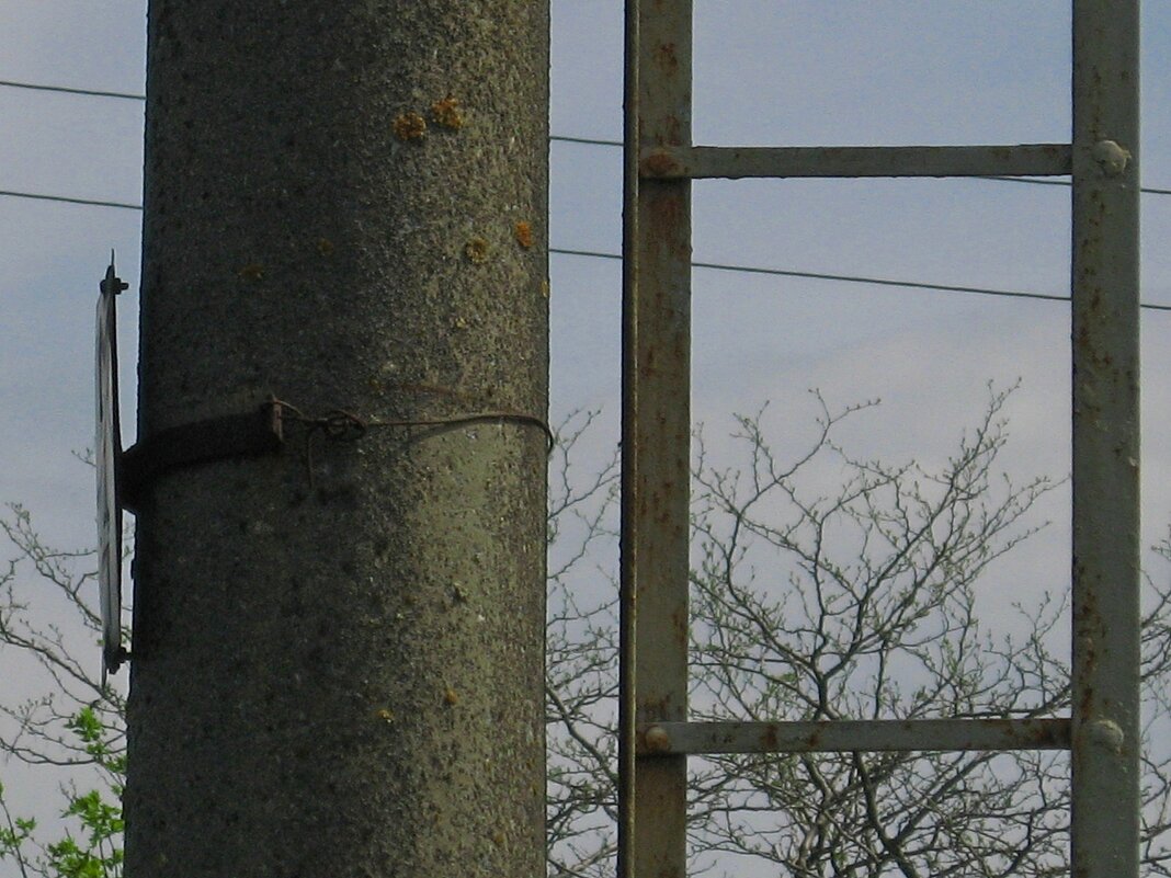 . - Александр Хоменко