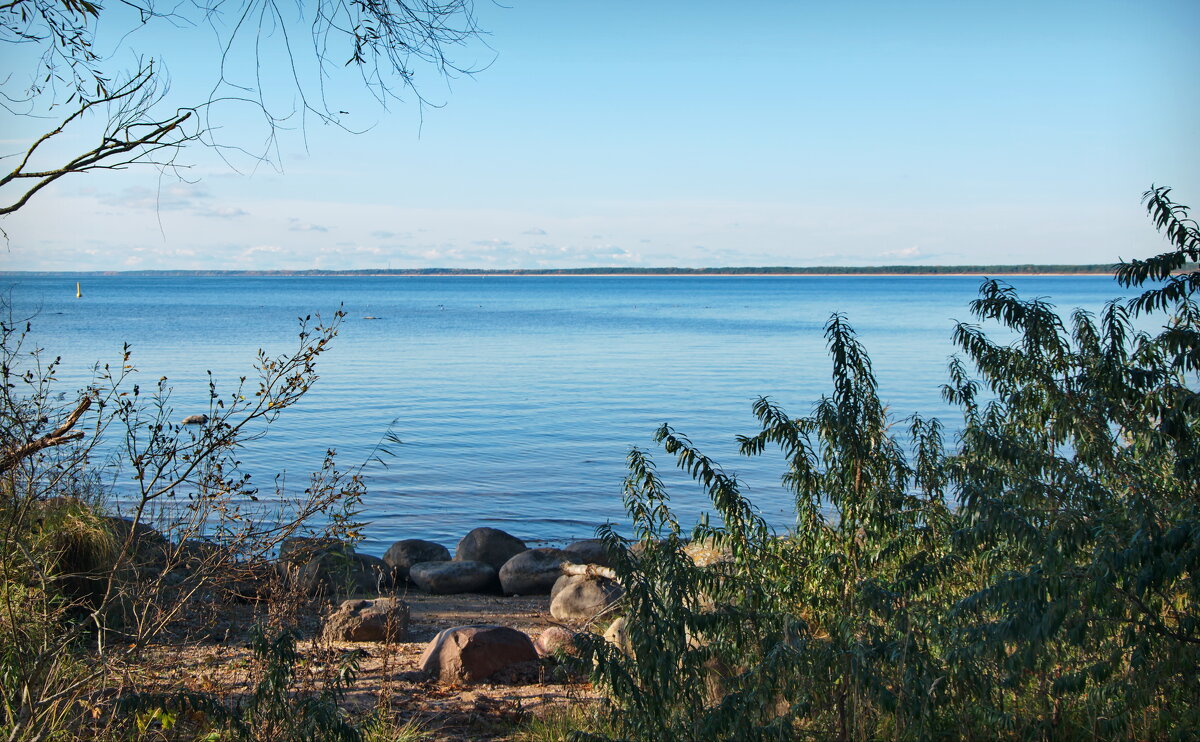 *** - lady v.ekaterina