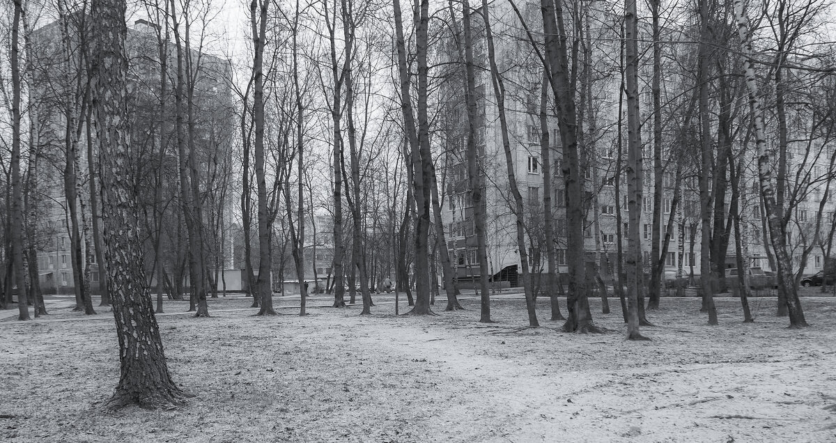 ***** - юрий поляков