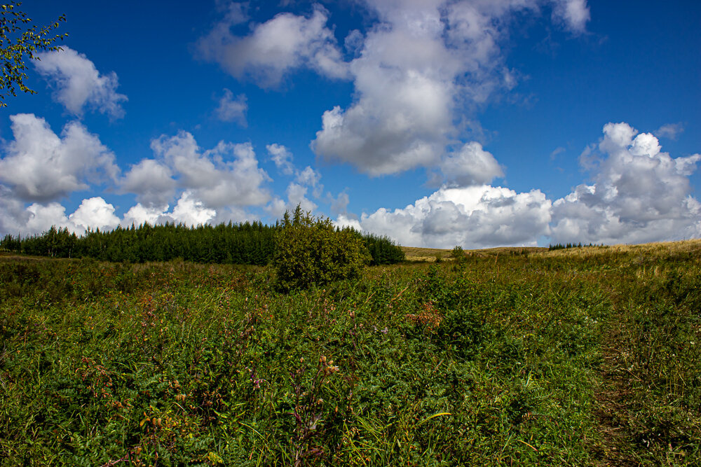 *** - Светлана SvetNika17 *** - Светлана SvetNika17