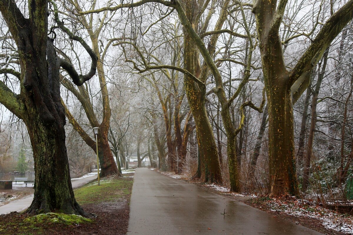 То снег,то дождь - Юрий. Шмаков