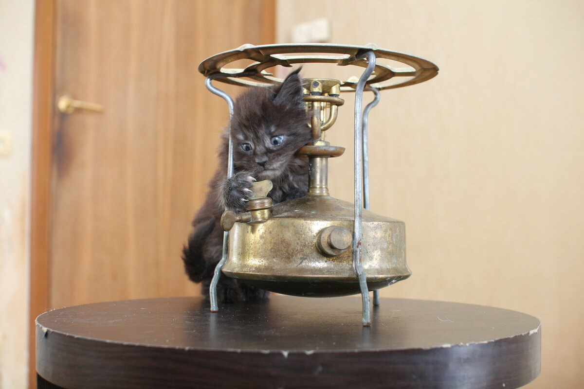 Как же ты отворачиваешься? - Павел Fotoflash911 Никулочкин