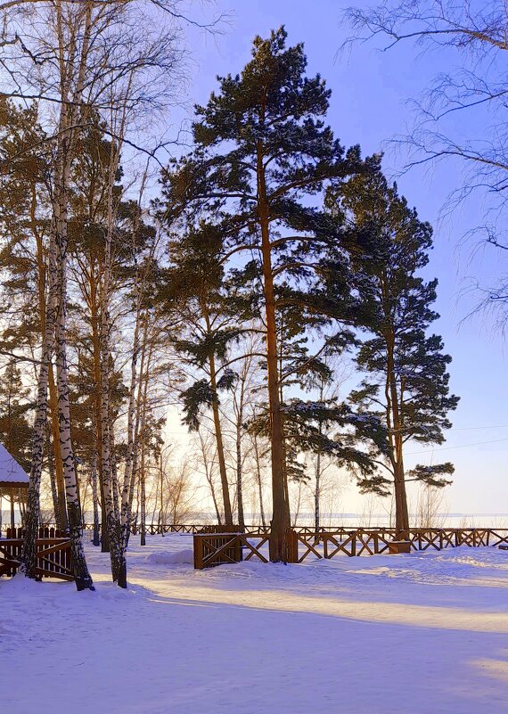 Начало февраля . - Мила Бовкун Начало февраля . - Мила Бовкун