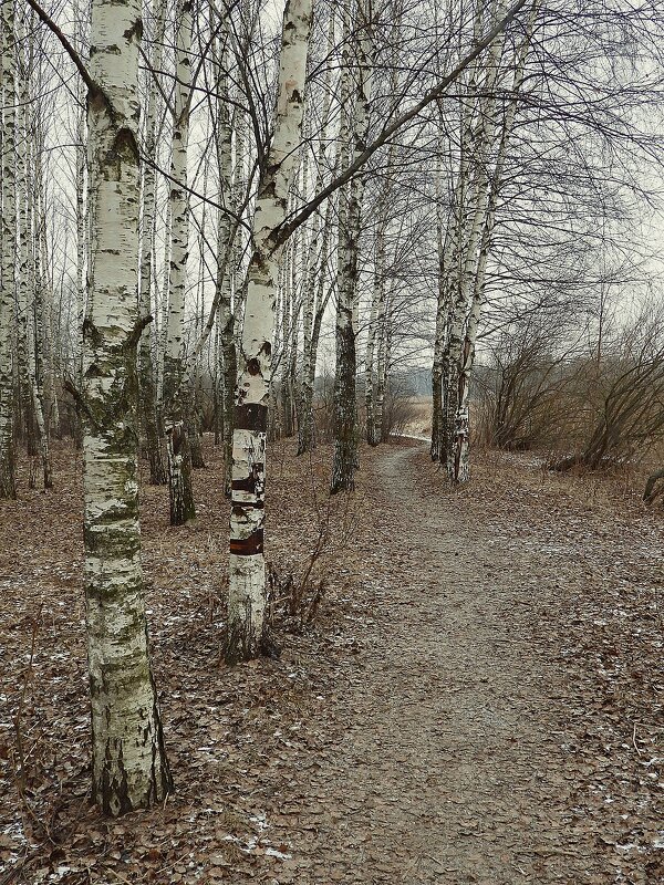 *** - Леонид leo *** - Леонид leo