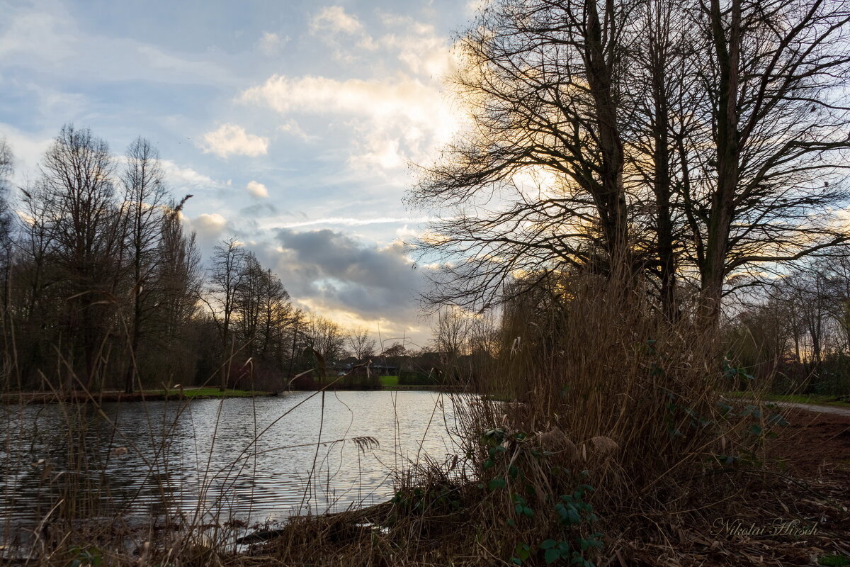 Пруд в январе... - Николай Гирш