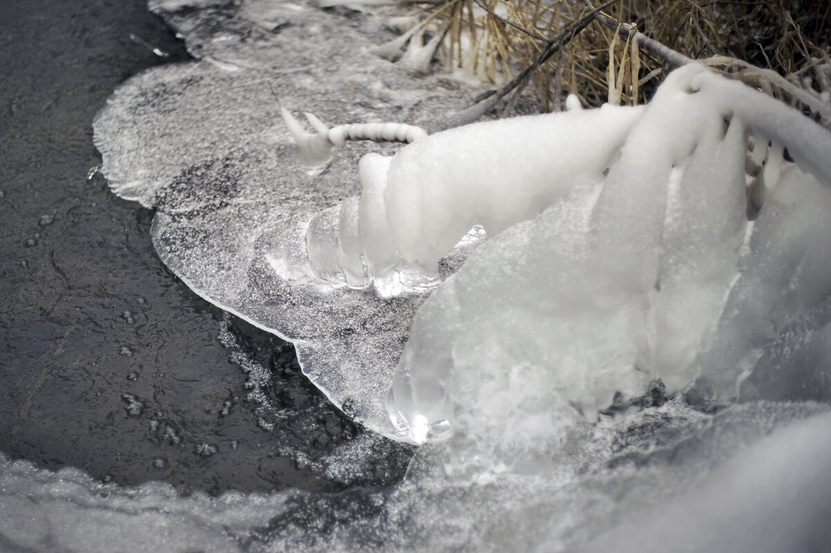 Спиральные льды - sorovey Sol Спиральные льды - sorovey Sol