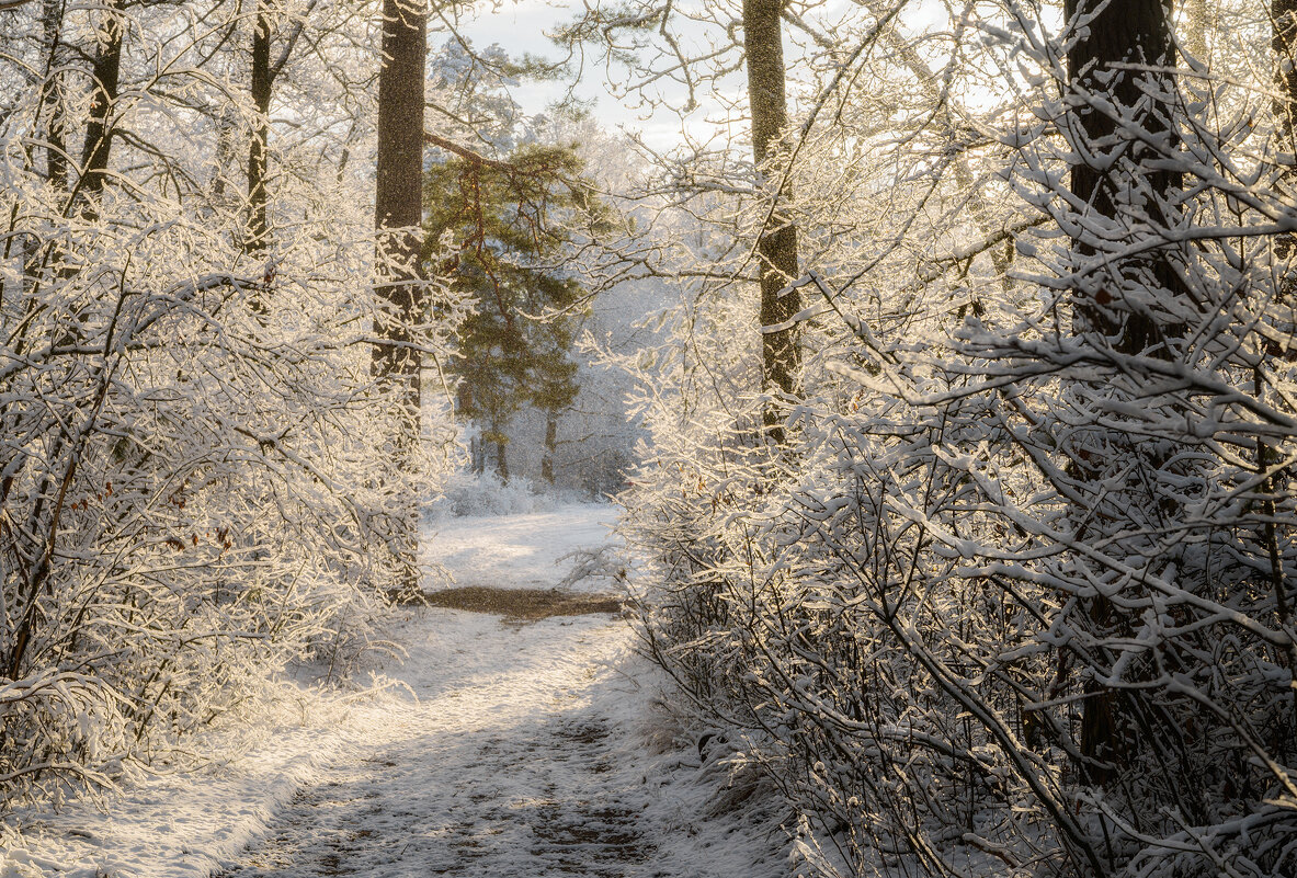 Солнечная дорожка - Валерий VRN Солнечная дорожка - Валерий VRN