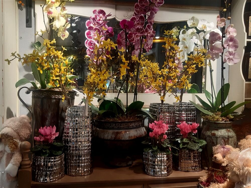 Среди зимы манящий дивный сад! - Нина Андронова