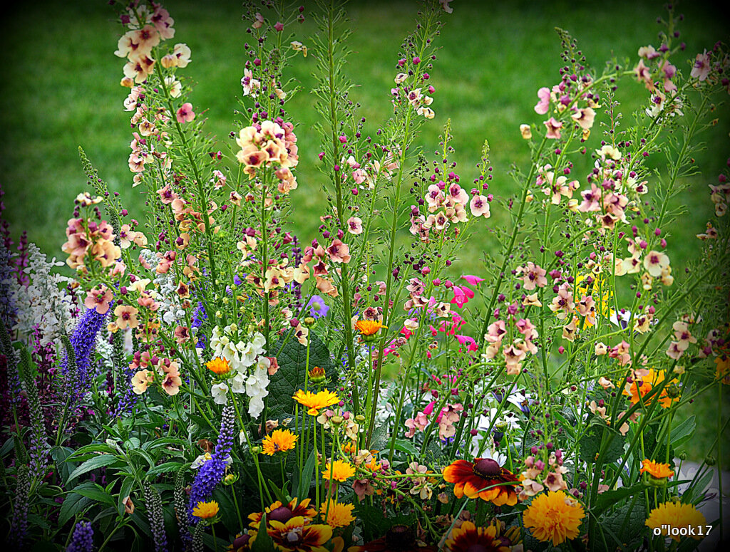 природа рисует - Олег Лукьянов природа рисует - Олег Лукьянов