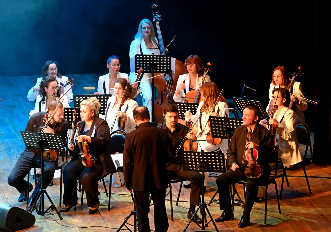 Из жизни камерного оркестра - Андрей Зайцев Из жизни камерного оркестра - Андрей Зайцев