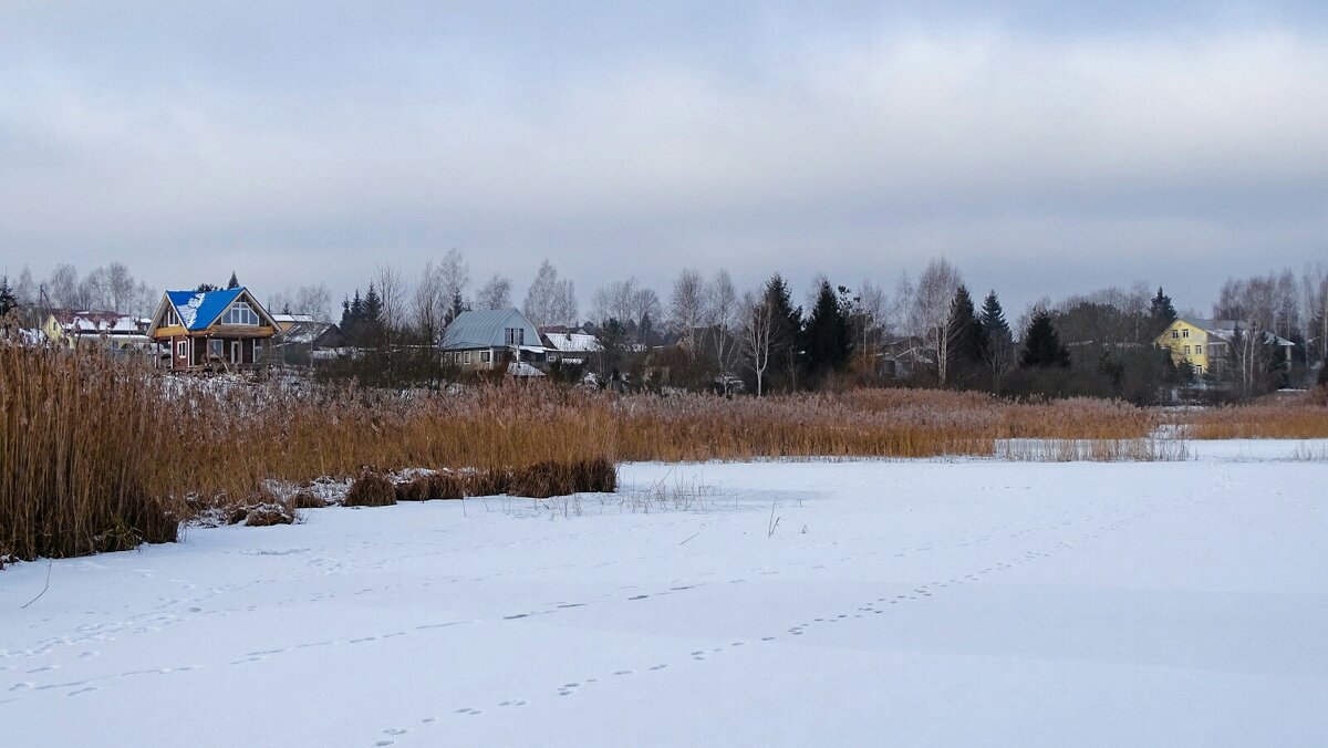 Зимний, деревенский пейзаж (репортаж из поездок по области) - Милешкин Владимир Алексеевич 