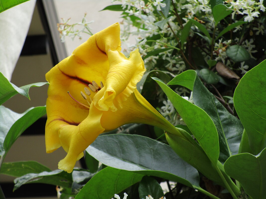 Турция - Елена Шаламова