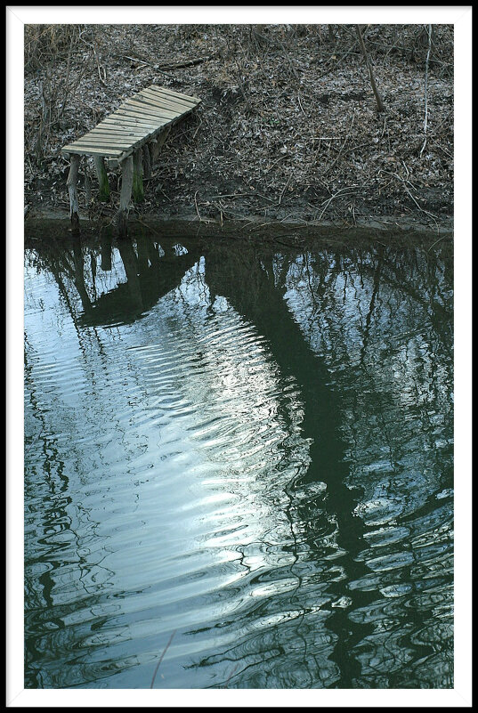 4 - Гонорий Голопупенко