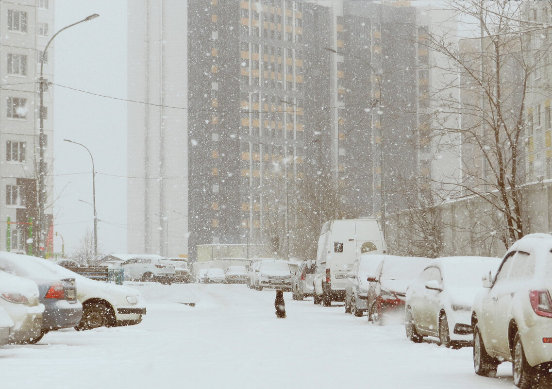 февральская вьюга - Лера февральская вьюга - Лера