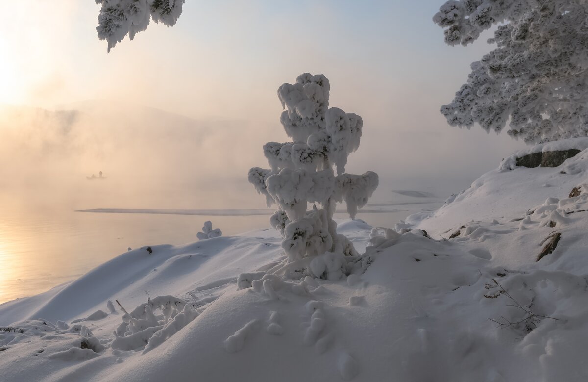 Наблюдатель - Марина Фомина. Наблюдатель - Марина Фомина.
