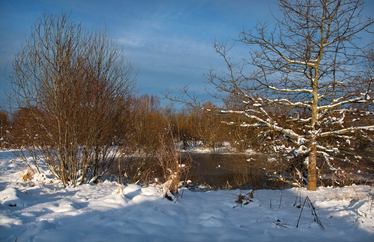 Зимой у пруда - lady v.ekaterina Зимой у пруда - lady v.ekaterina