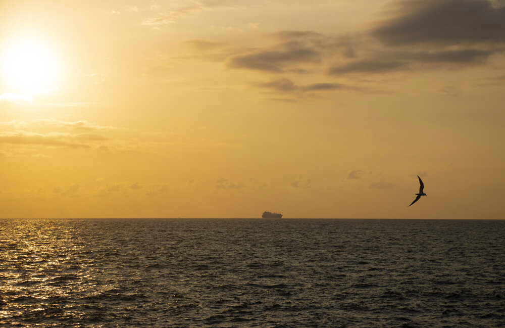 Солнце садится в океан... - Галина Ильясова Солнце садится в океан... - Галина Ильясова