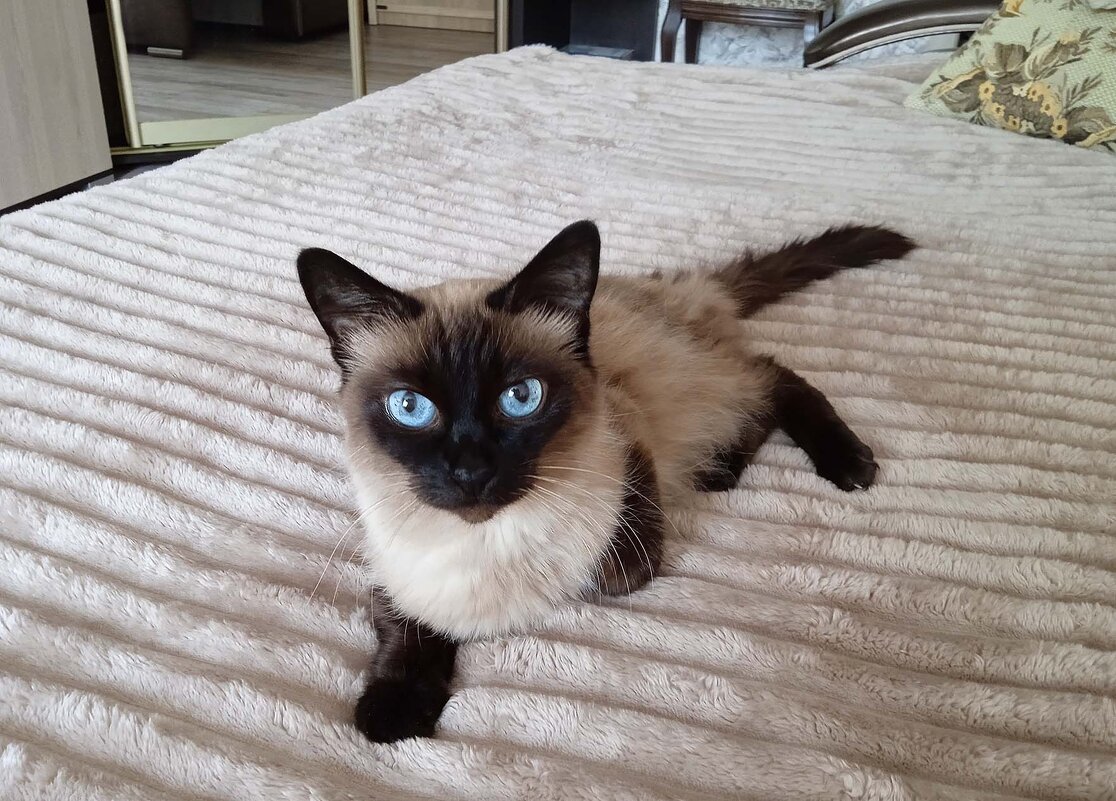 Наша красавица - Эля Юрасова Наша красавица - Эля Юрасова