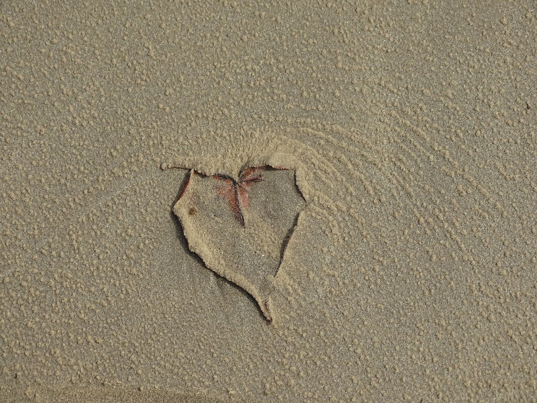 Морская валентинка - Павел Трунцев Морская валентинка - Павел Трунцев