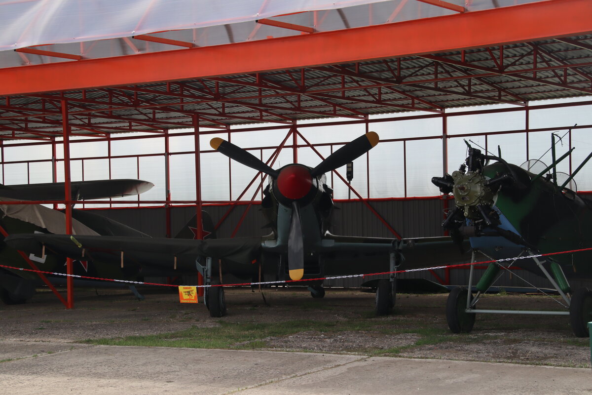 В тенёчке - Павел Fotoflash911 Никулочкин