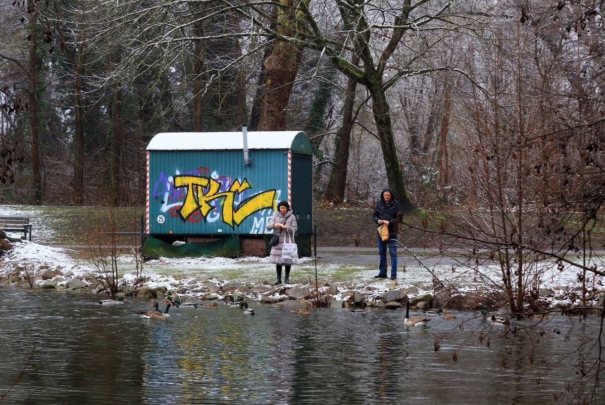 Время кормления птиц - Юрий. Шмаков