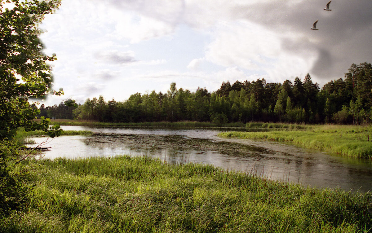 Протока на озере - Наталья 