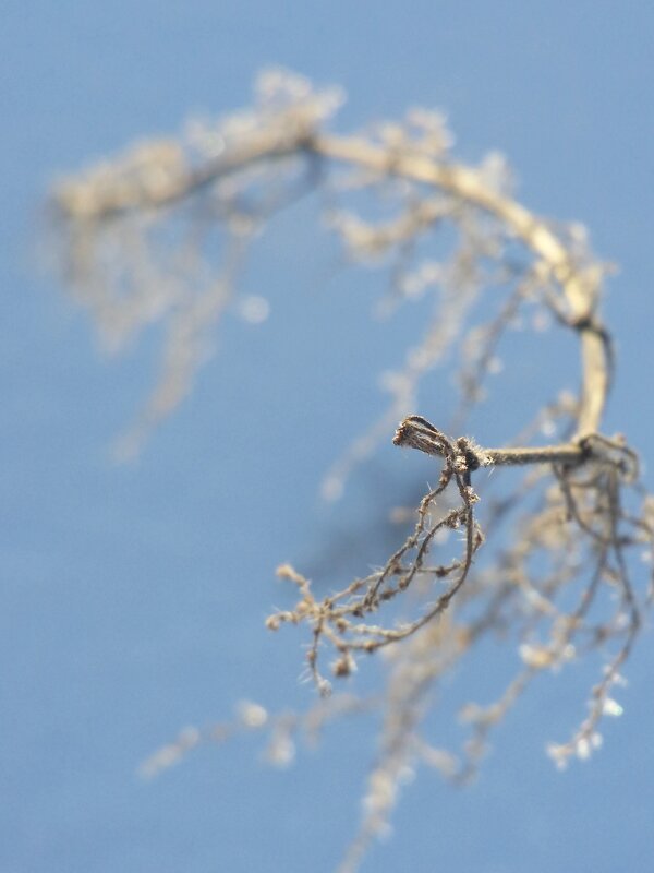 "невесомость" - Наталия Кольцова