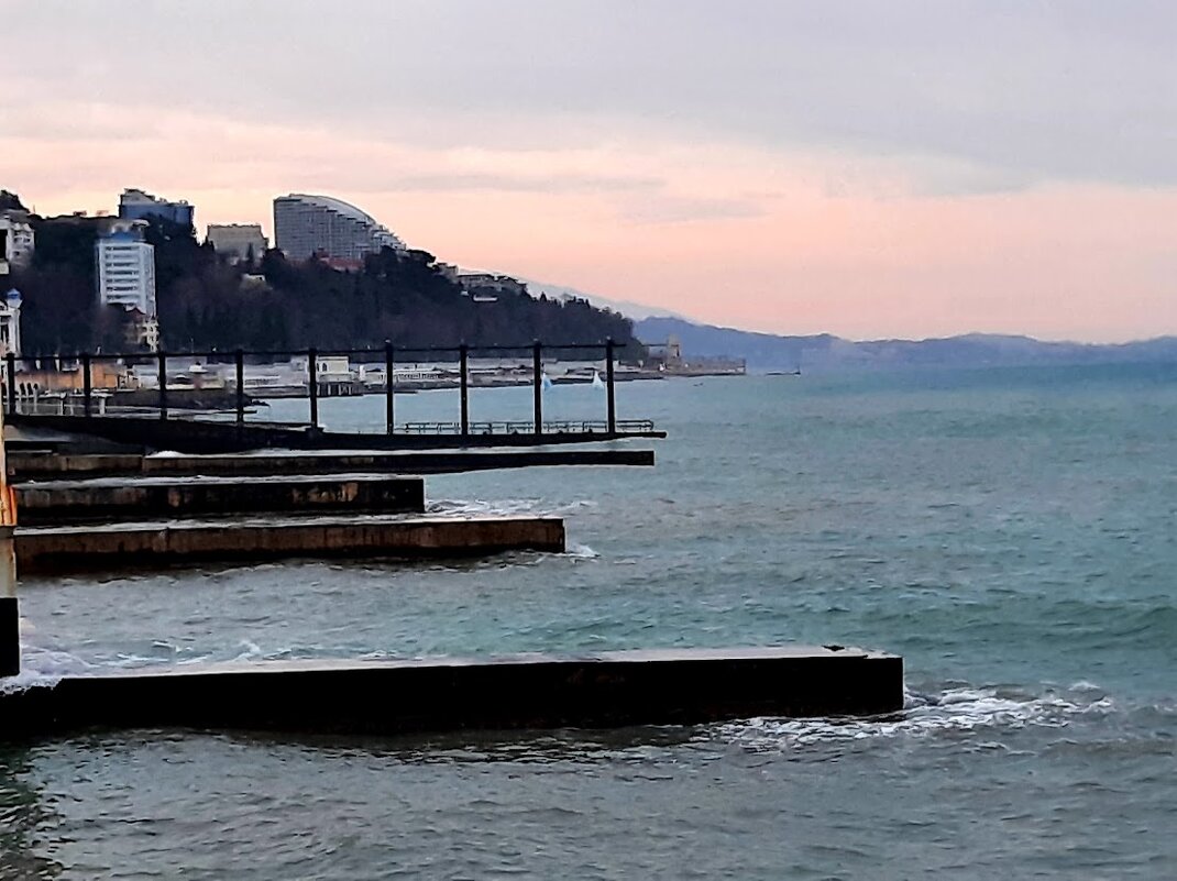 Санаторий Авангард Сочи. Январь 2025 - Tata Wolf