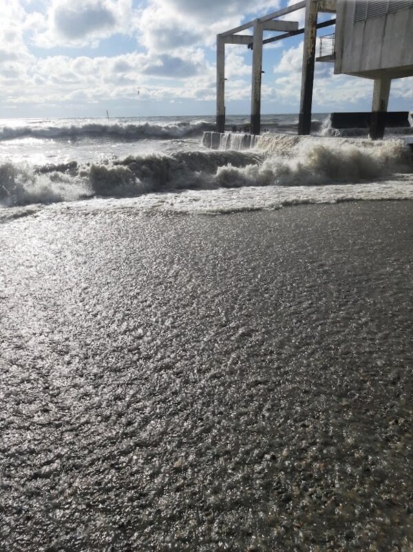 Санаторий Авангард Сочи. Январь 2025 - Tata Wolf Санаторий Авангард Сочи. Январь 2025 - Tata Wolf