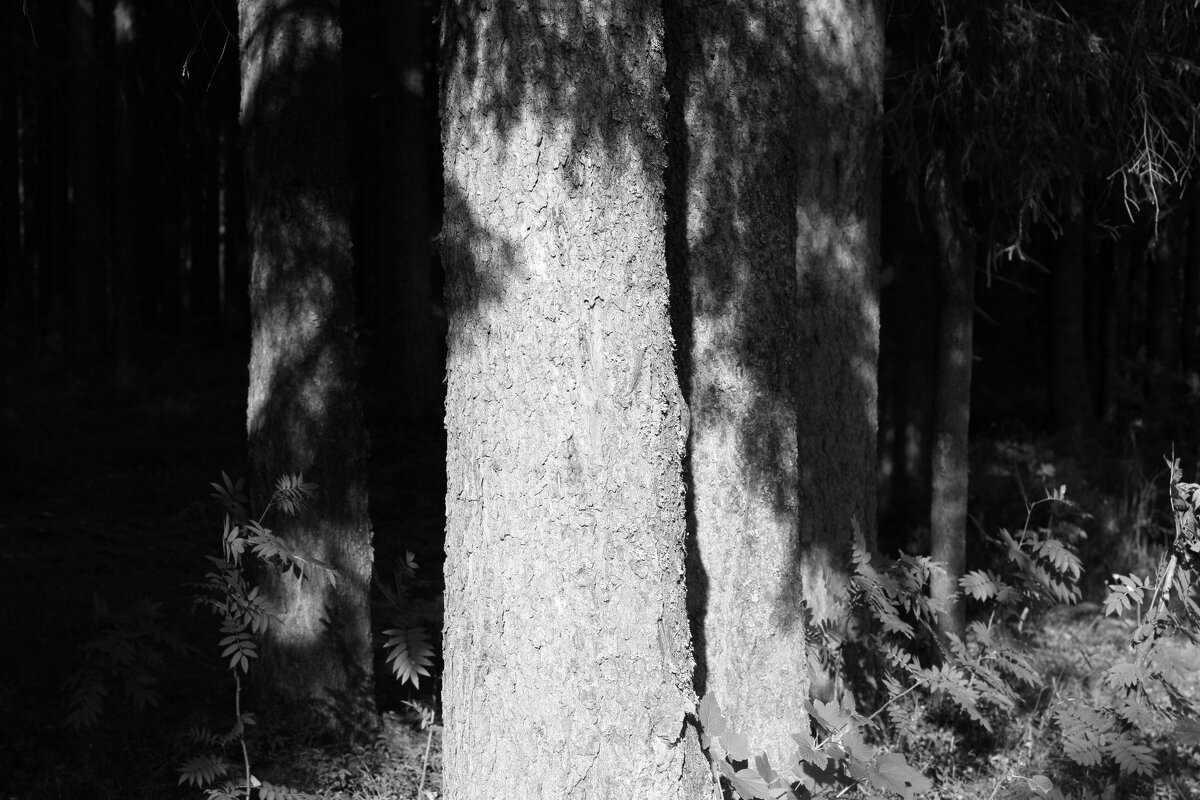 Название отсутствует - Денис Безногов Название отсутствует - Денис Безногов