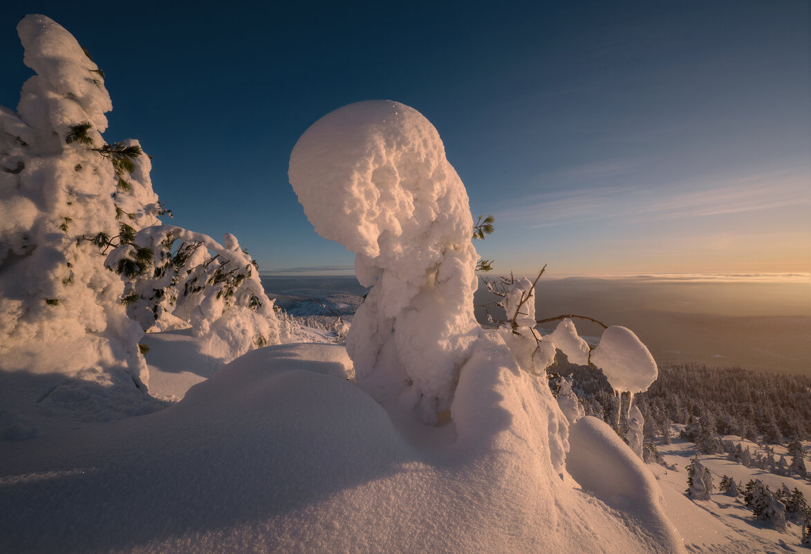 * - Александр Иванов * - Александр Иванов