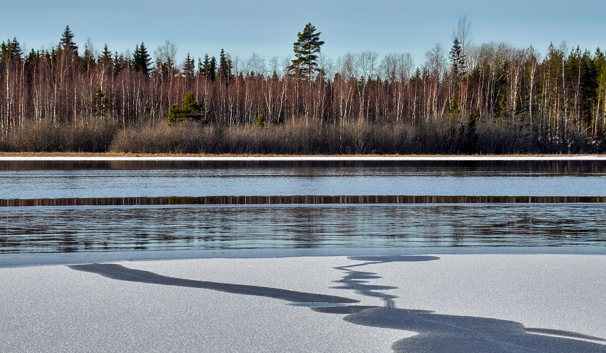 Почти "весеннее настроение" - Alexandеr P