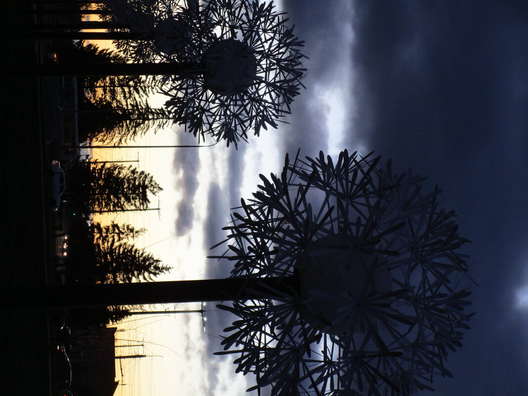 один вечер - Елена Шаламова один вечер - Елена Шаламова