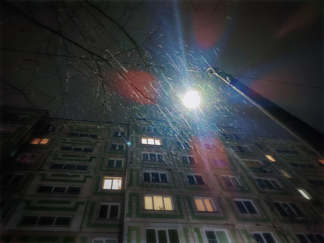 Первый (в этом году) снег..) - AZ east3