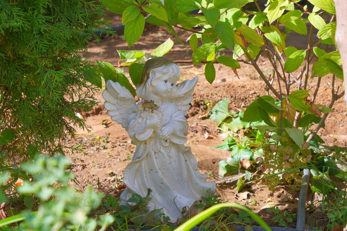 Ангелочек - Сергей Беляев Ангелочек - Сергей Беляев