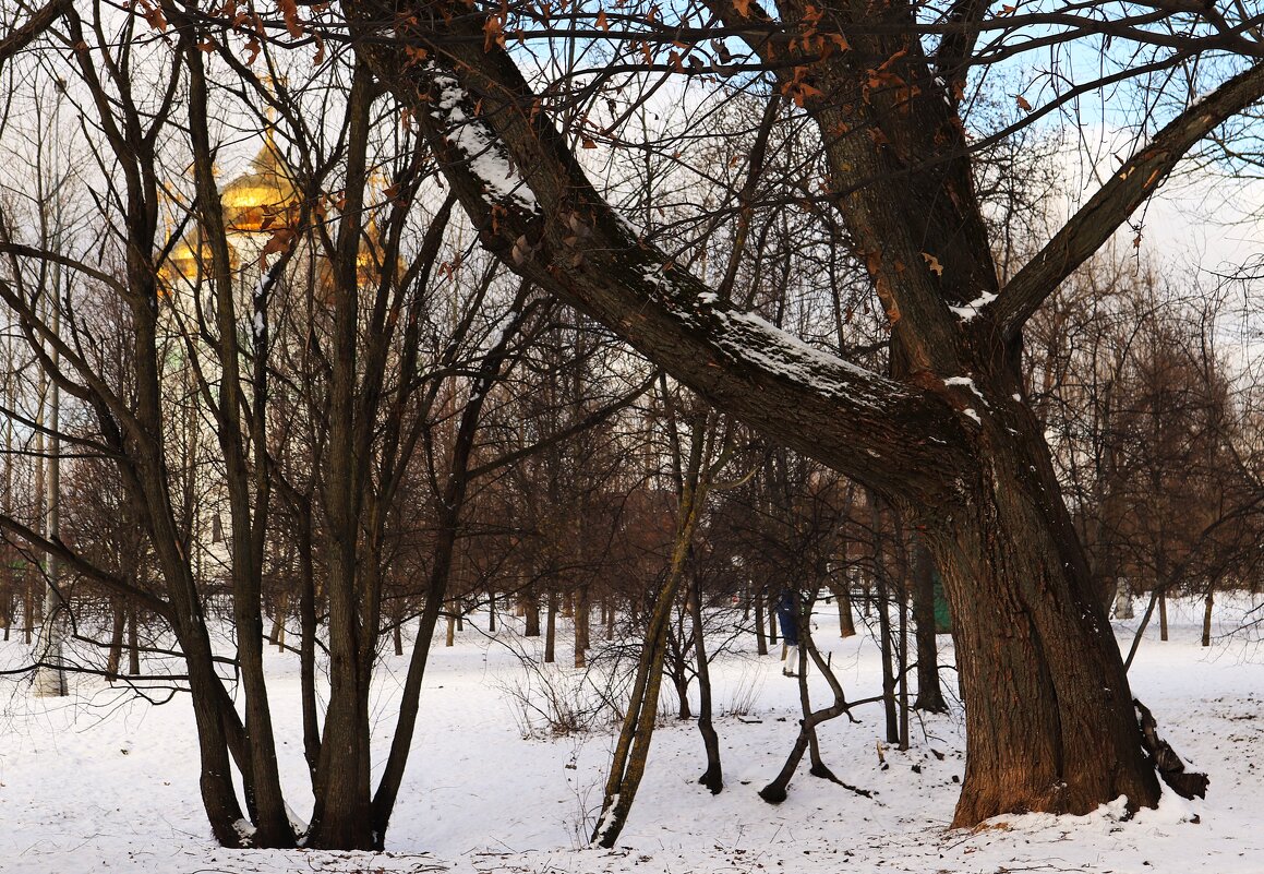 Наконец-то припорошило! - Василий Палий