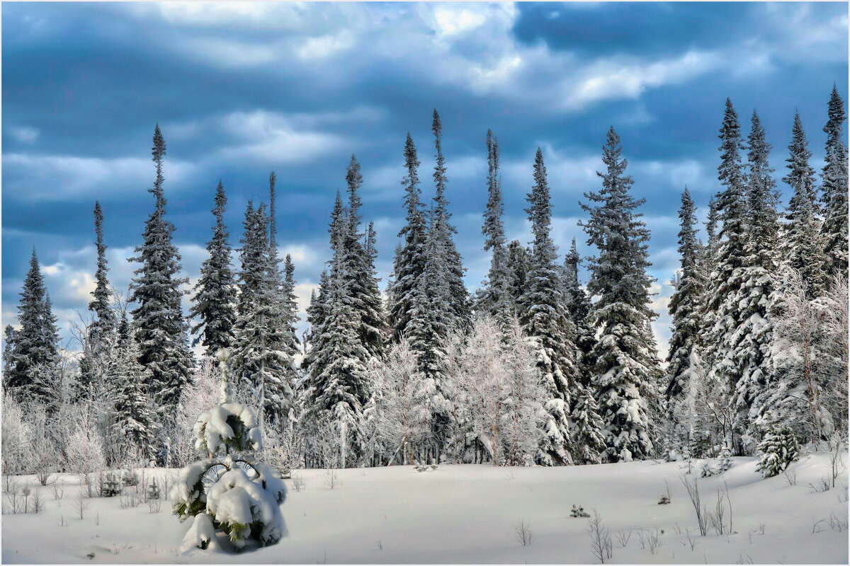 *** - Алексей Мезенцев