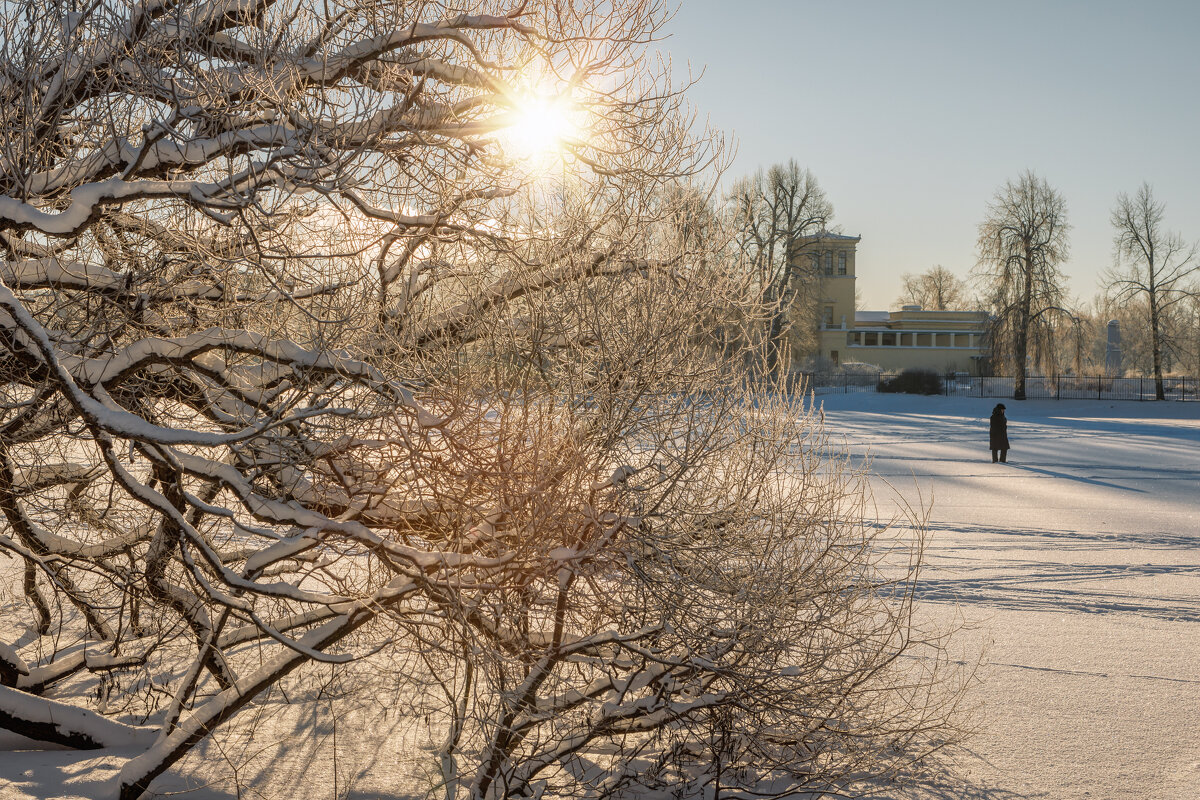 Про Питер - Владимир Колесников