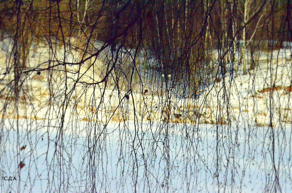 Скажи когда, закончится эта зима...??!) - Дмитрий 