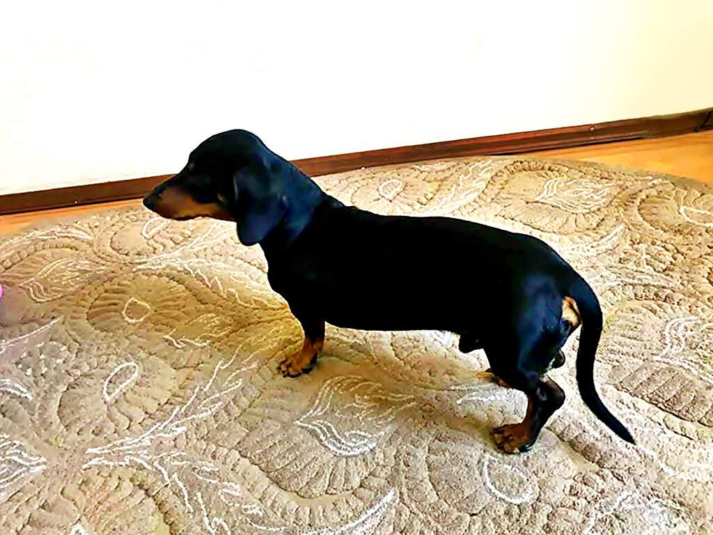 ТАКСА - Анатолий Малобродский